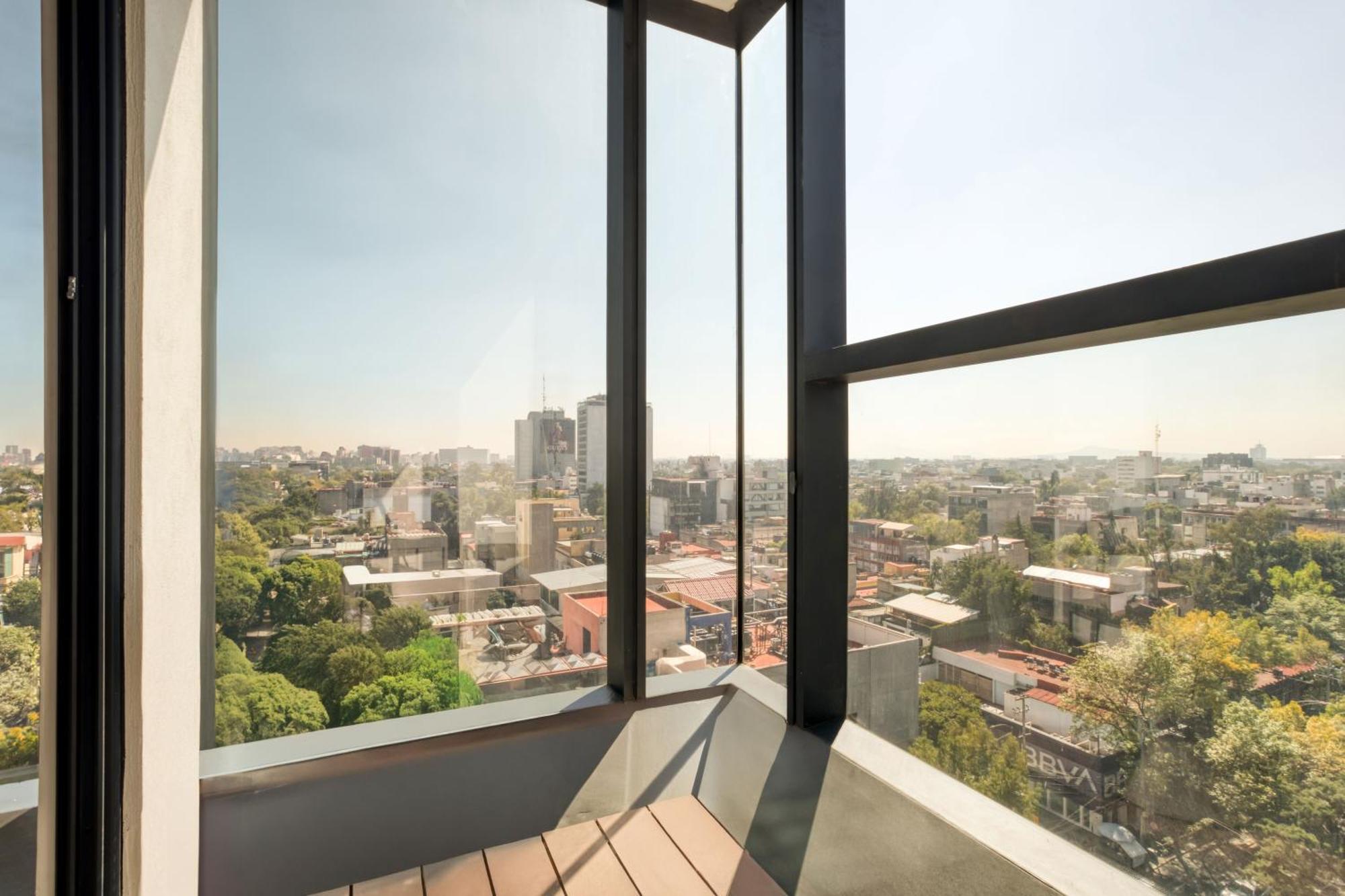 Uliv Mexico by Rom bilde